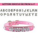 Pink Dog Collar