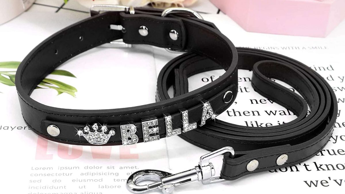 personalized dog collars leather