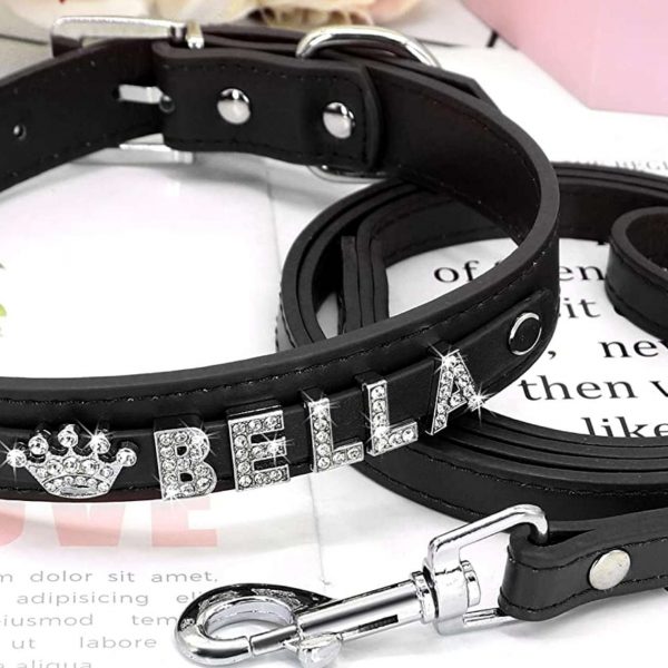 personalized dog collars leather