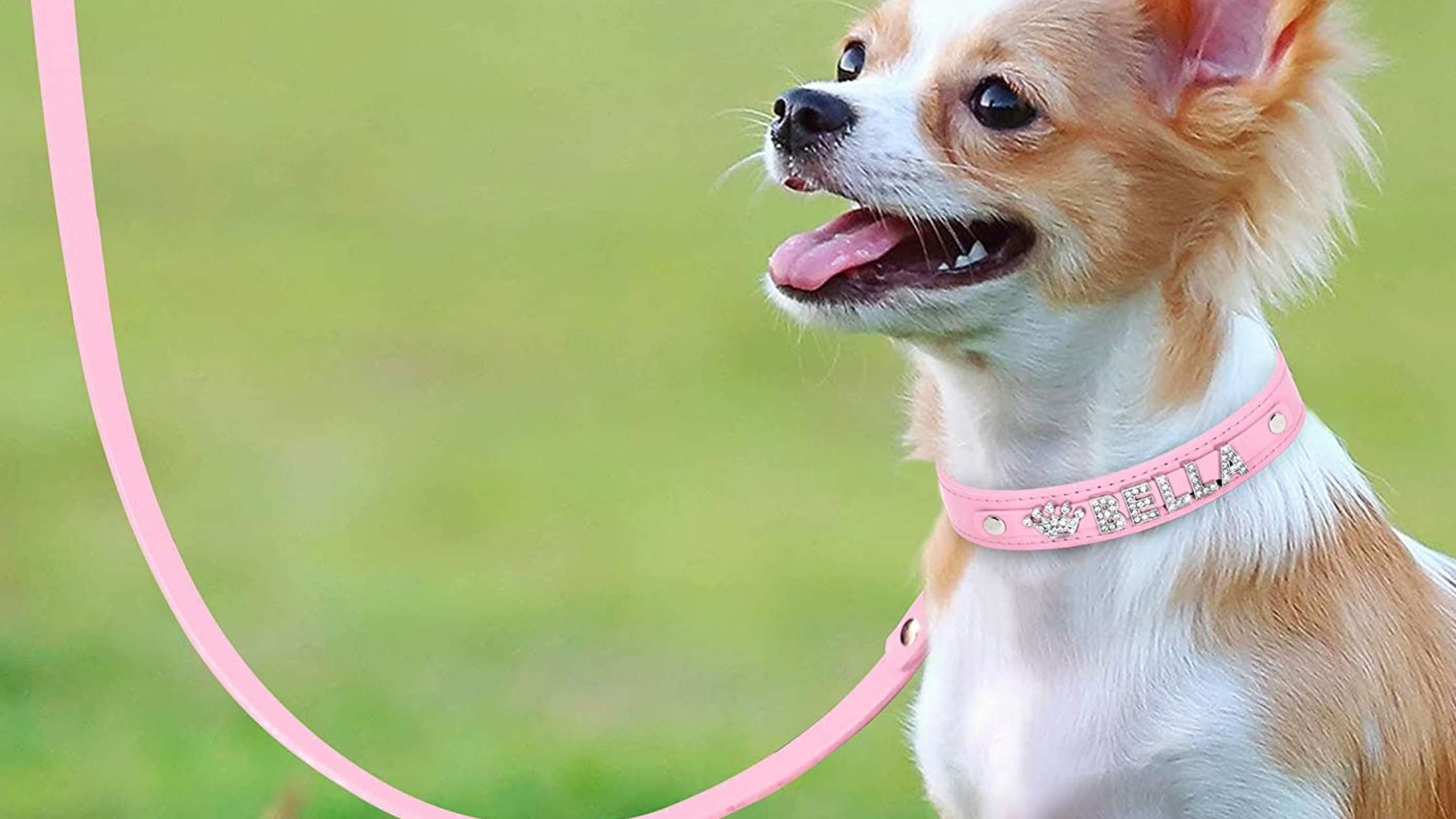 Buy Cute Leather Dog Collars - Pink | Rockholder