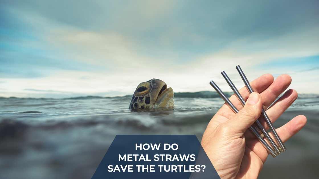 How do Metal Straws save the turtles